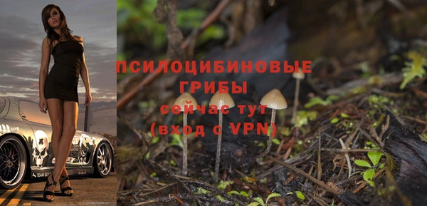 гашиш Надым
