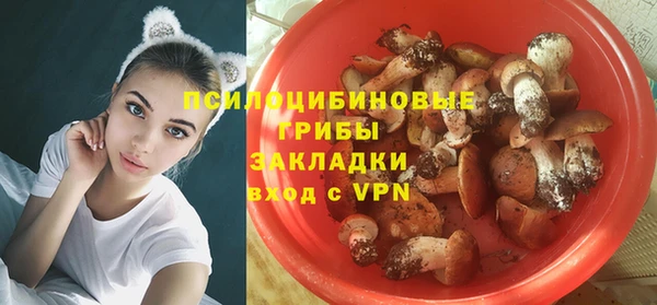 ECSTASY Навашино